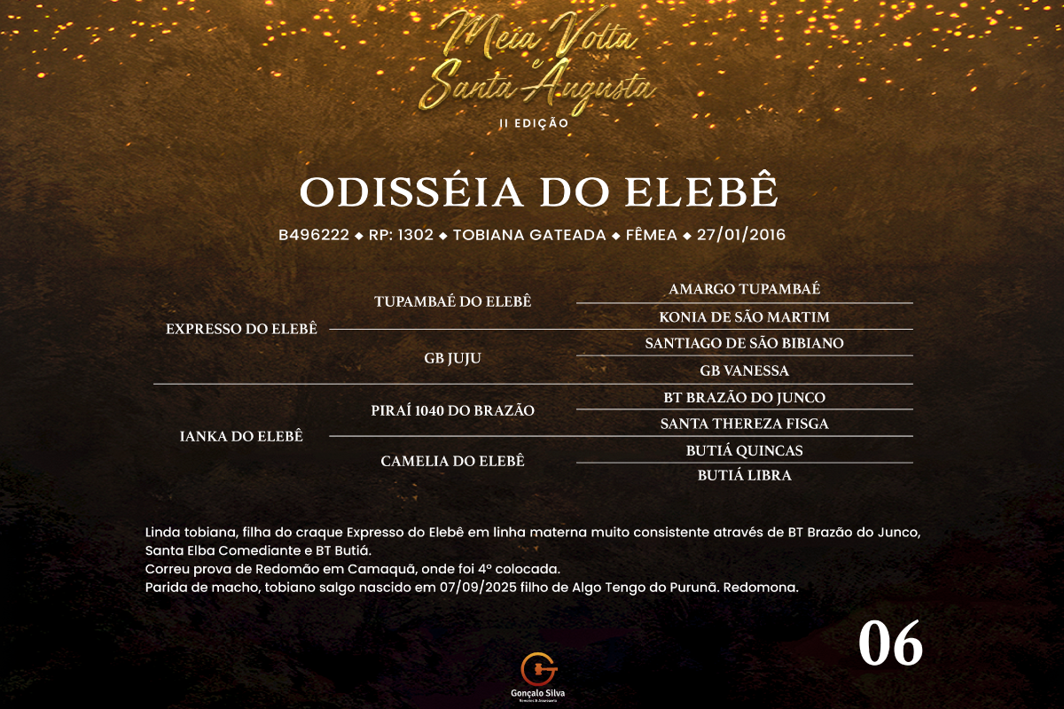 Geração ODISSÉIA DO ELEBÊ