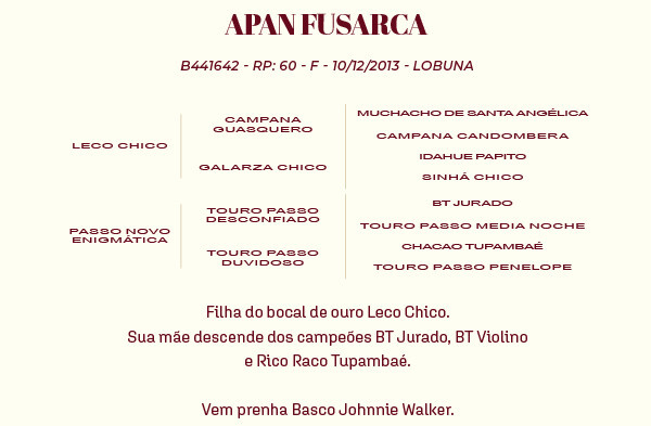 Geração APAN FUSARCA