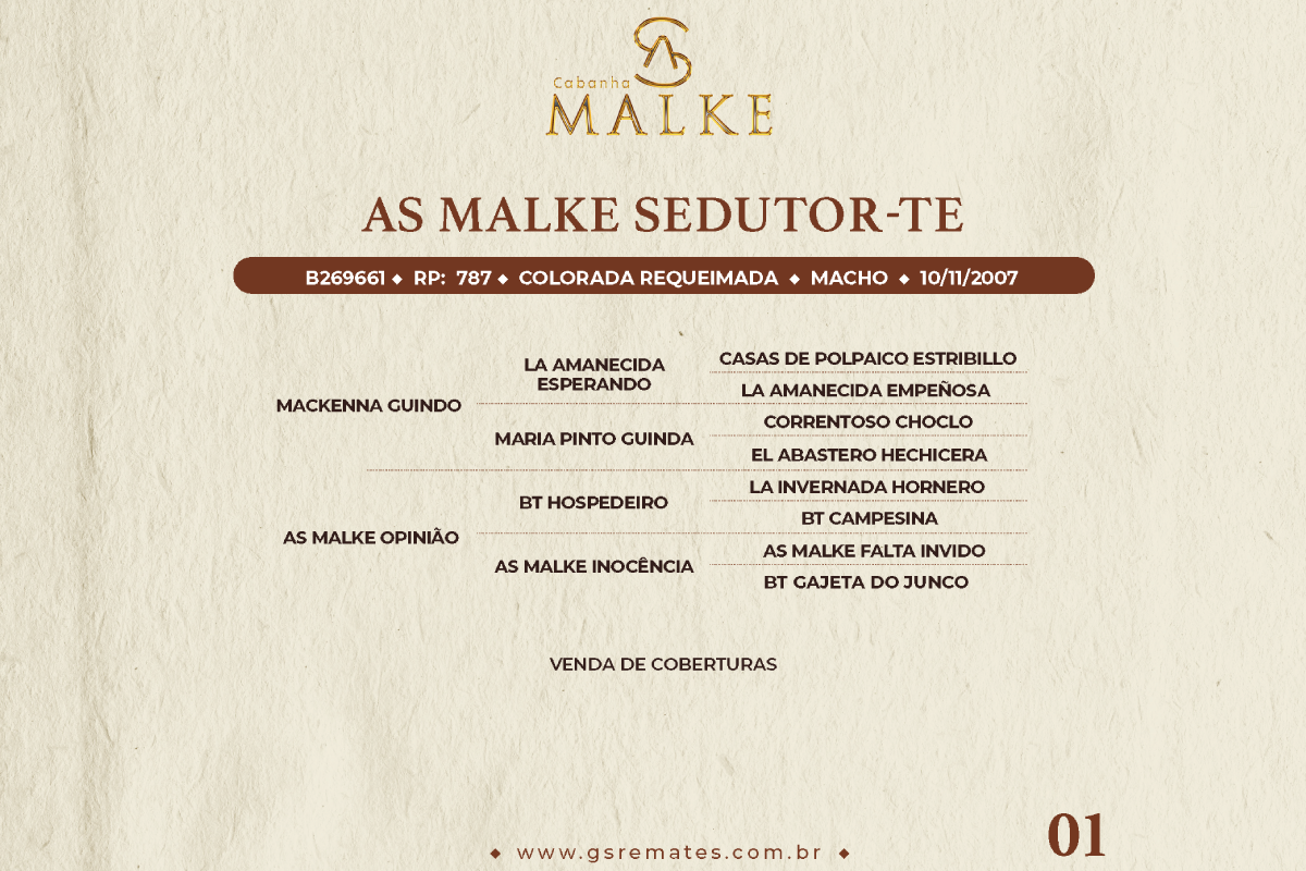 Geração AS MALKE SEDUTOR - TE ( COBERTURA )