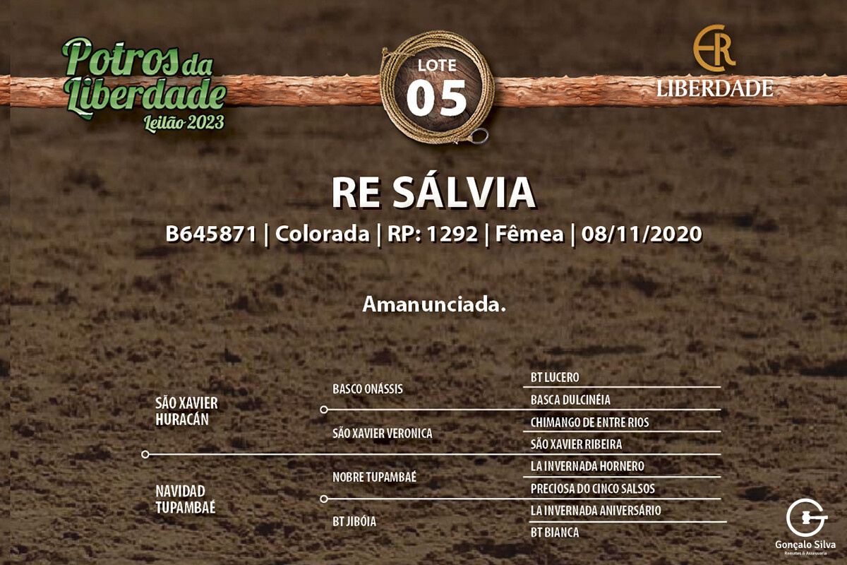 Geração RE SÁLVIA