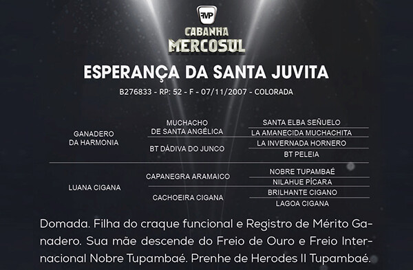 Geração ESPERANÇA DE SANTA JUVITA 