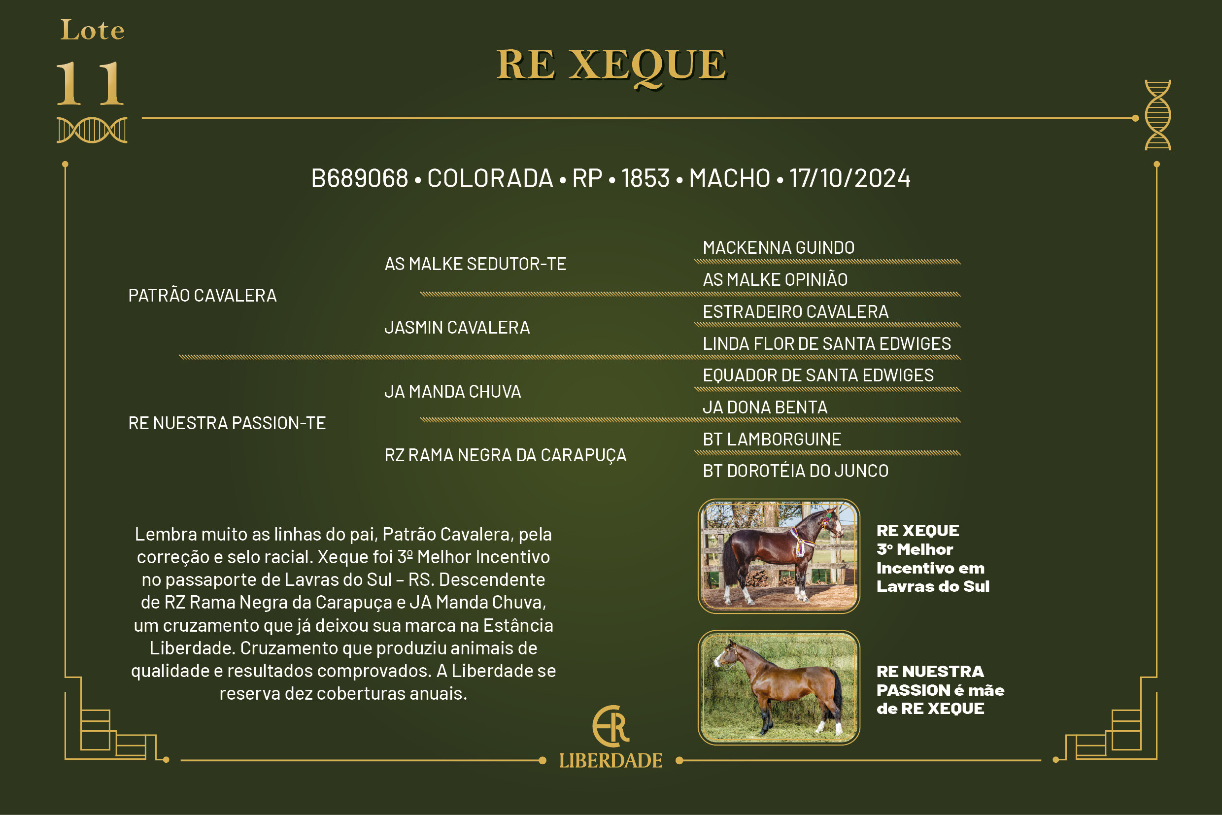 Geração RE XEQUE 