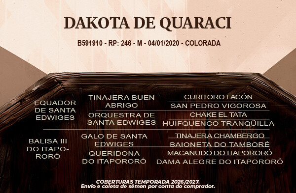 Geração Dakota de Quaraci 