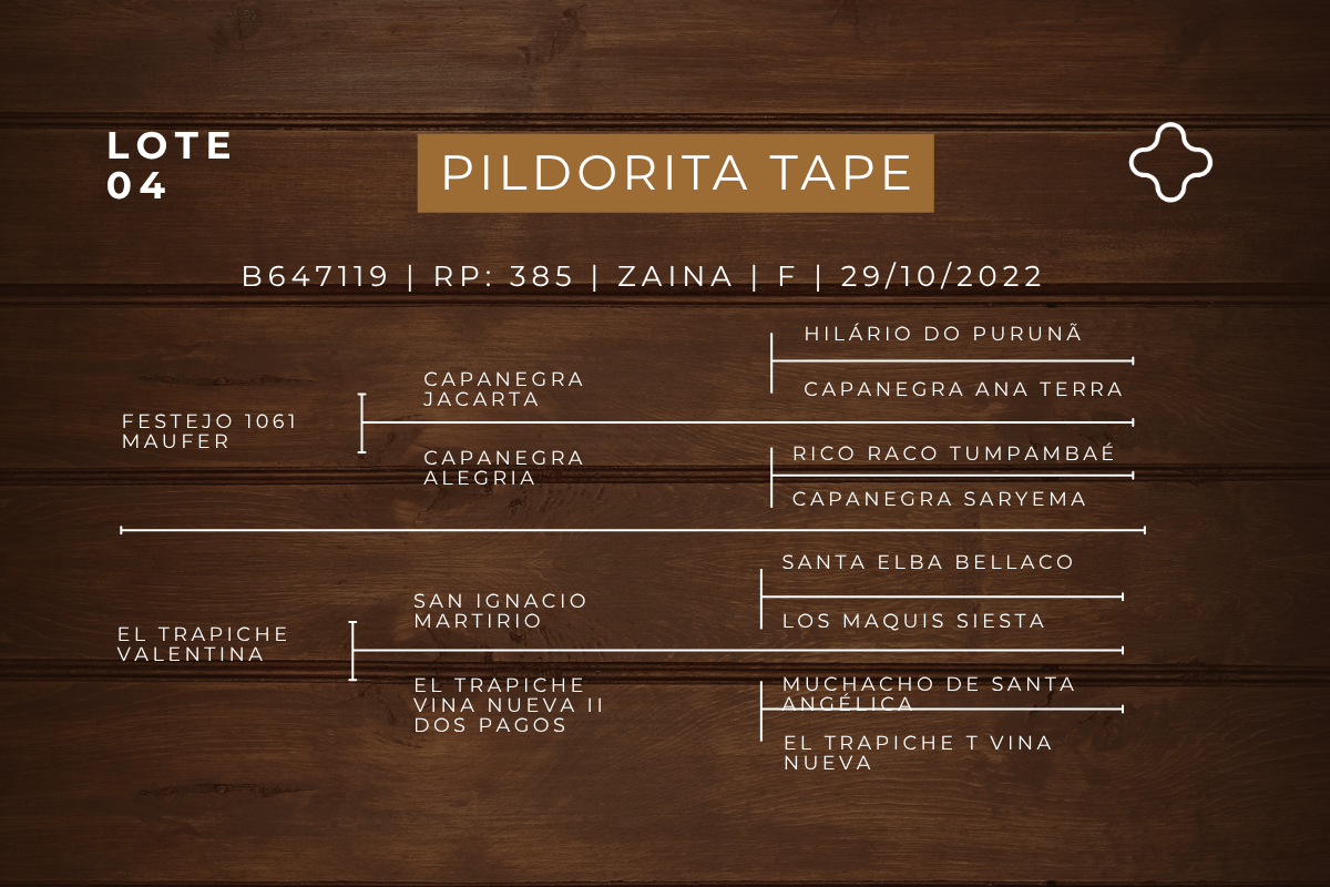 Geração PIODORITA TAPE