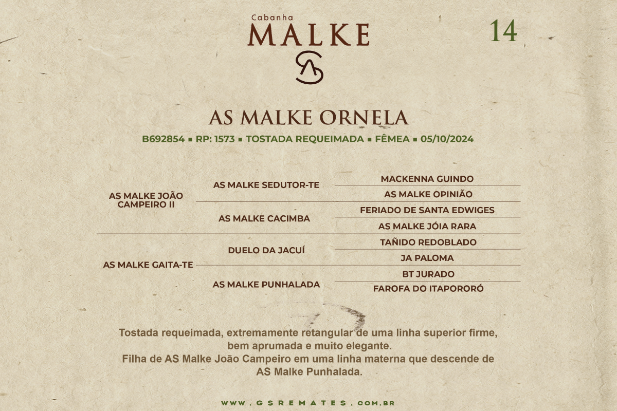 Geração AS MALKE ORNELA