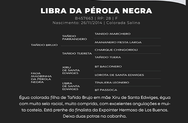 Geração LIBRA DA PÉROLA NEGRA