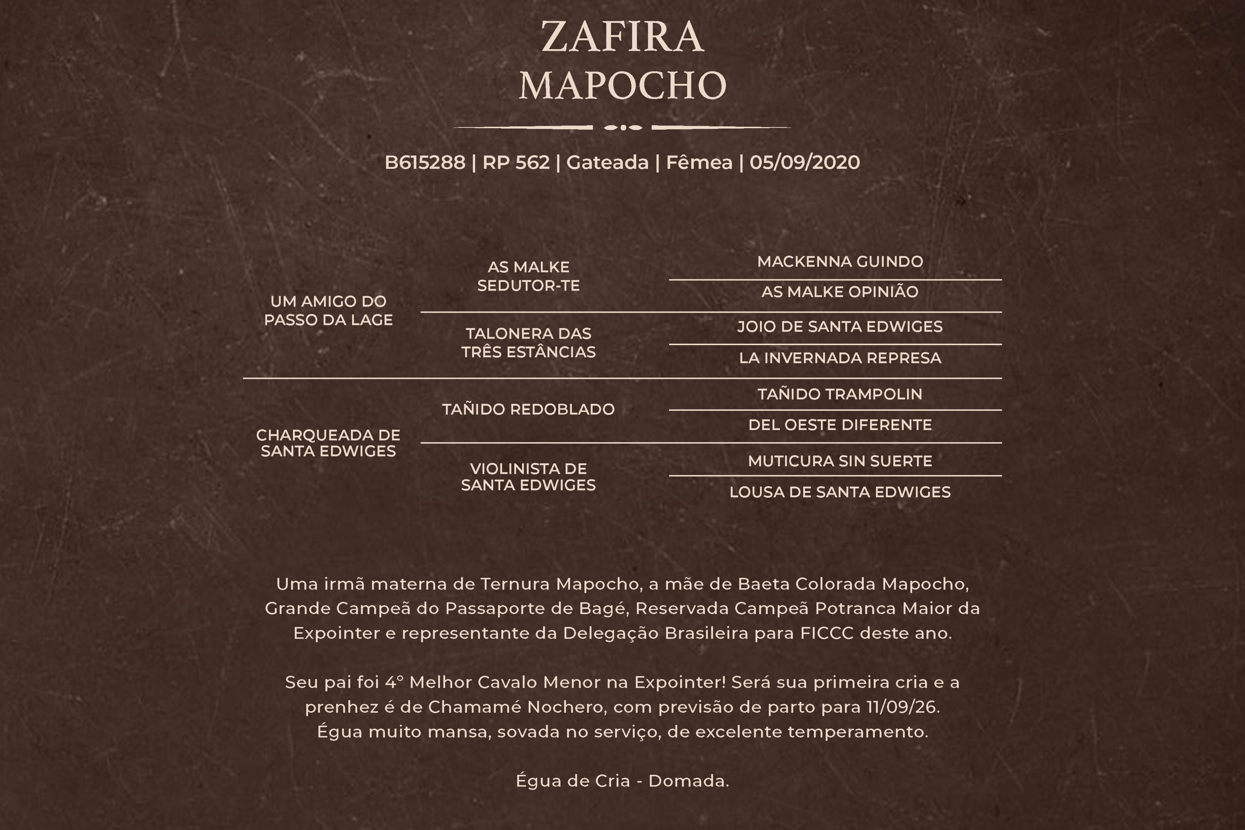 Geração ZAFIRA MAPOCHO