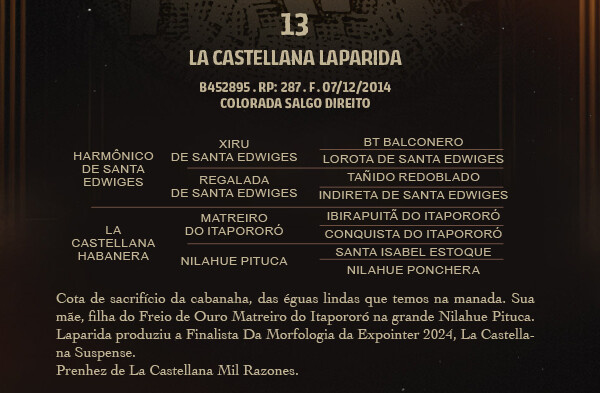 Geração LA CASTELLANA LAPARIDA