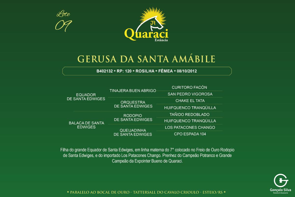 Geração GERUSA DA SANTA ÁMABILE