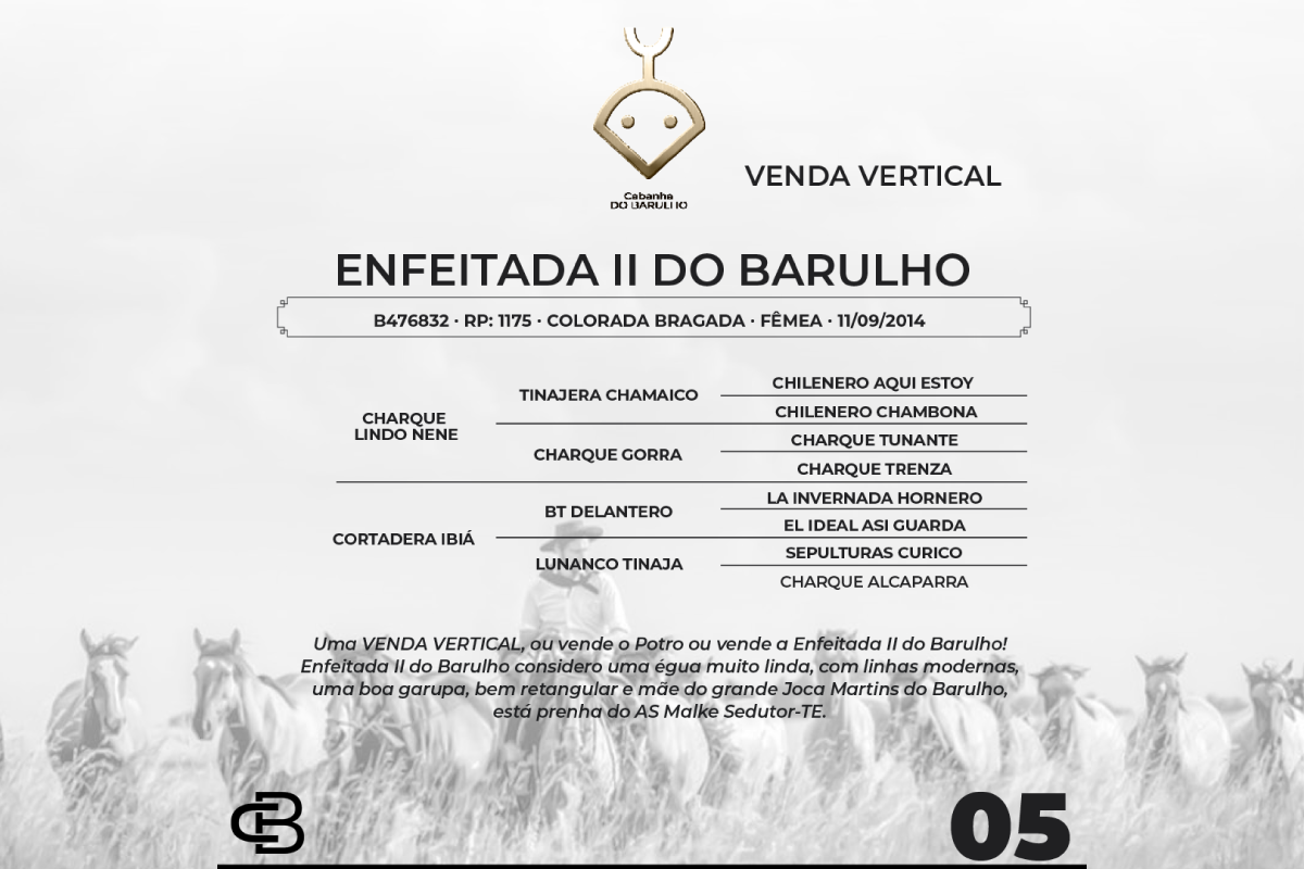 Geração VENDA VERTICAL ENFEITADA II DO BARULHO OU POTRO
