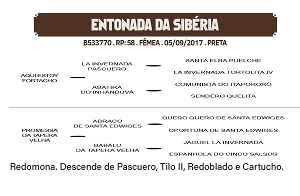 Geração ENTONADA DA SIBERIA