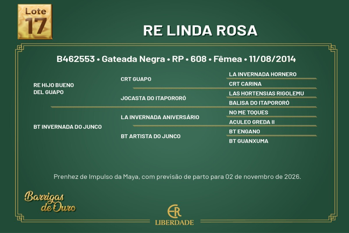 Geração RE LINDA ROSA