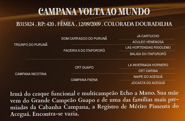 Geração CAMPANA VOLTA AO MUNDO