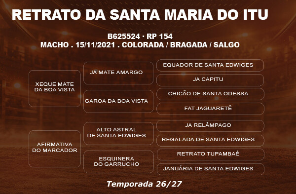 Geração COBERTURA RETRATO DA SANTA MARIA DO ITU