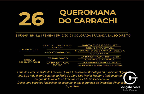 Geração QUEROMANA DO CARRACHI