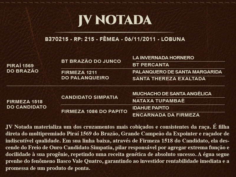 Geração JV NOTADA