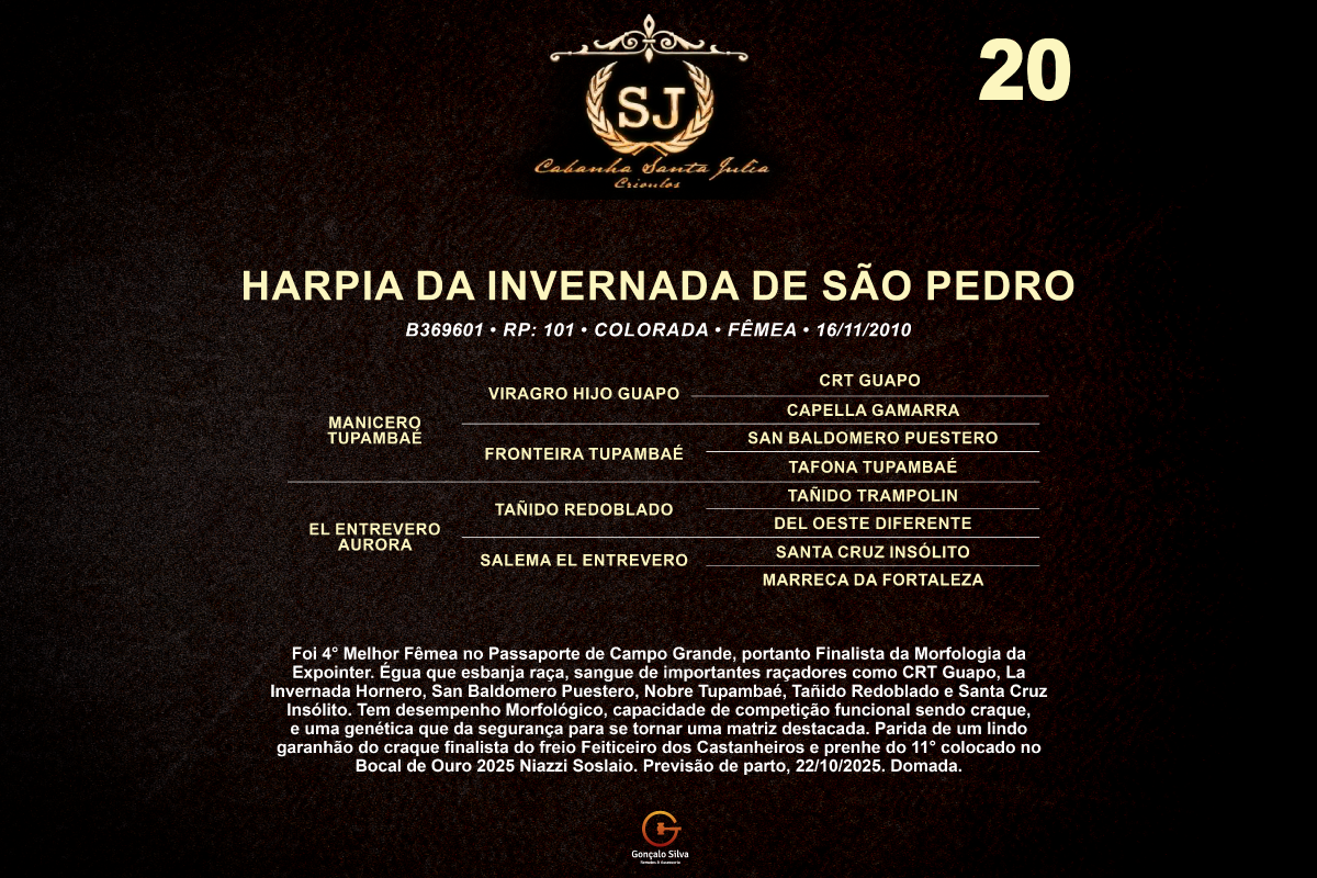 Geração HARPIA DA INVERNADA DE SÃO PEDRO 