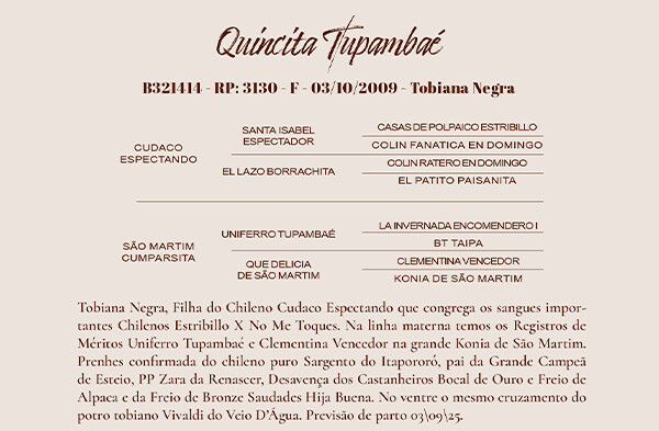 Geração VENDA VERTICAL QUINCITA TUPAMBAÉ OU VIVALDI DO VEIO D'AGUA