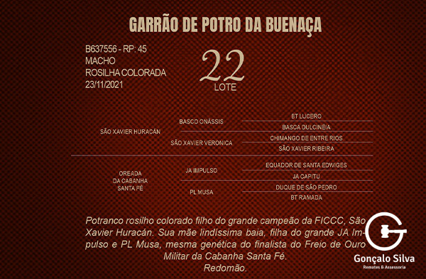 Geração GARRÃO DE POTRO DA BUENAÇA