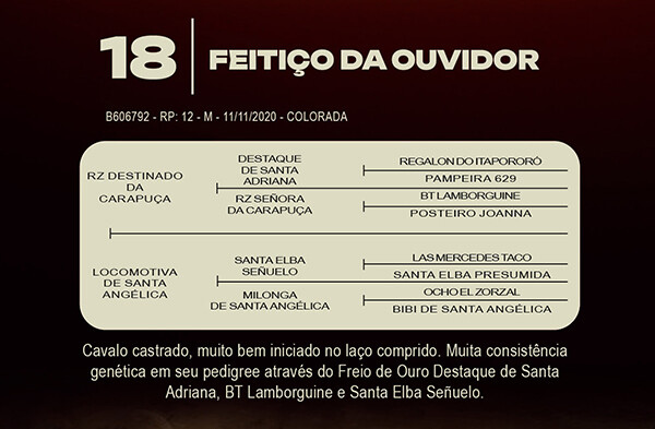 Geração FEITIÇO DA OUVIDOR