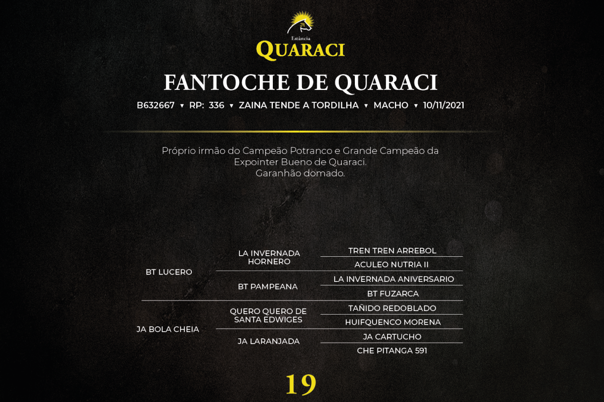 Geração FANTOCHE DE QUARACI