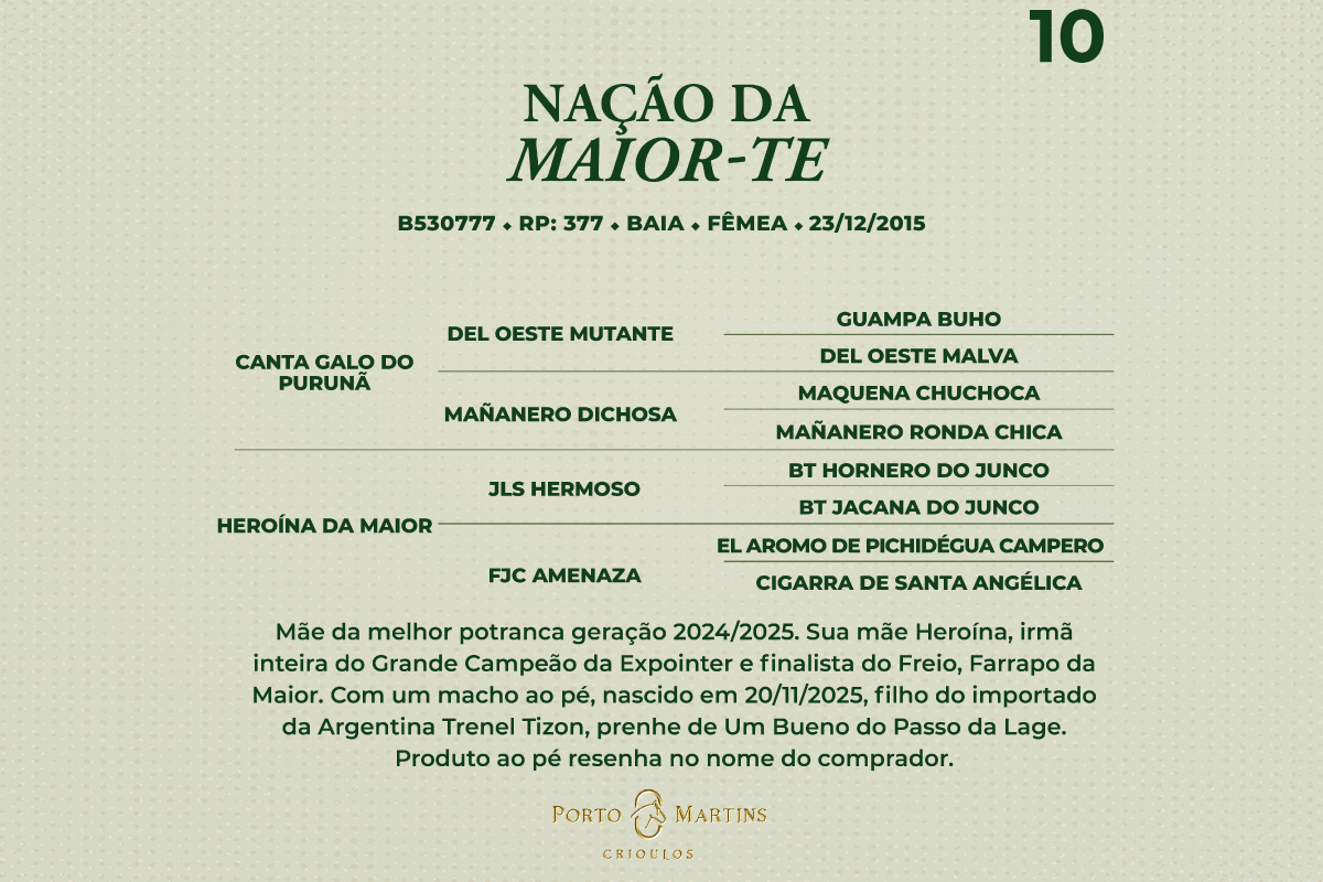 Geração NAÇÃO DA MAIOR-TE