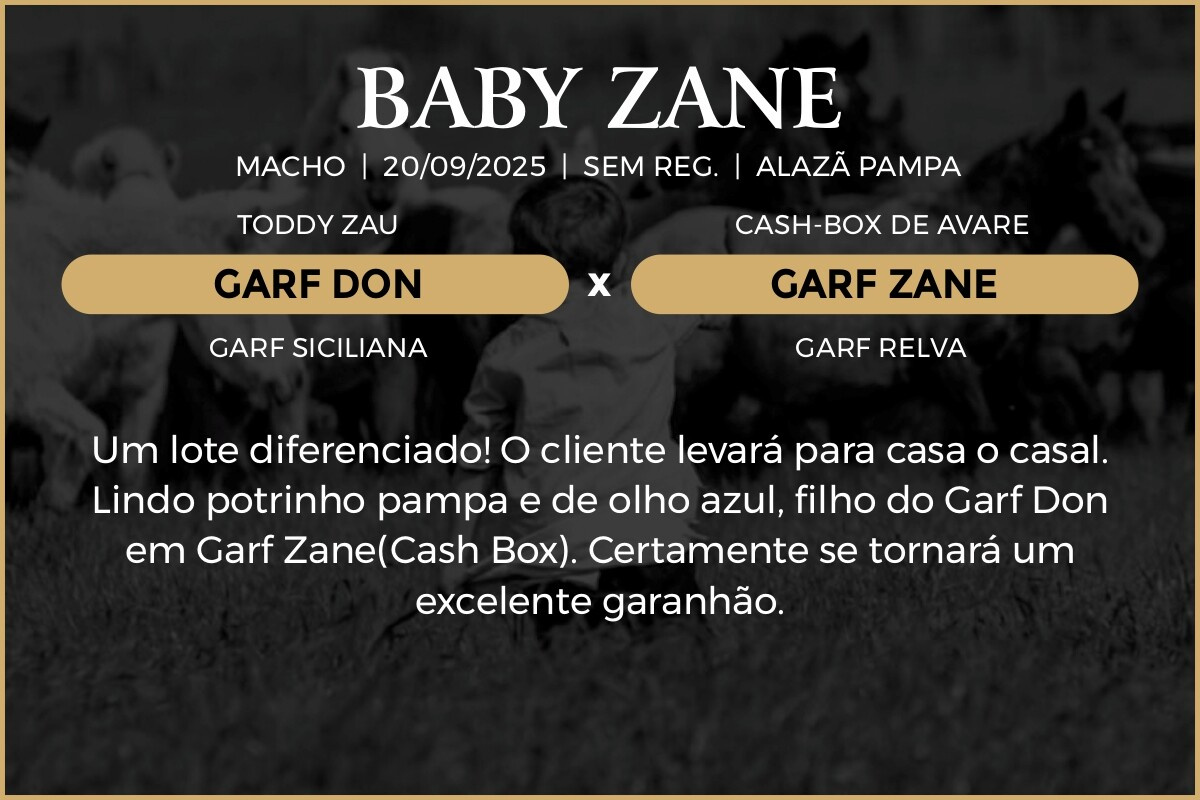 Geração BABY ZANE 