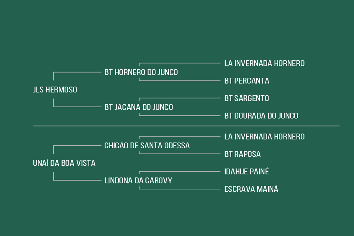 Geração BARBELA DA BOA VISTA