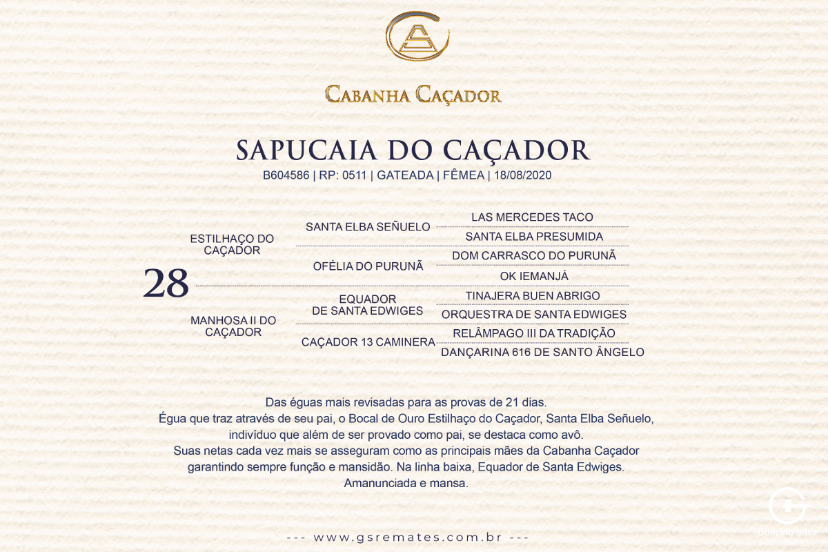Geração SAPUCAIA DO CAÇADOR 