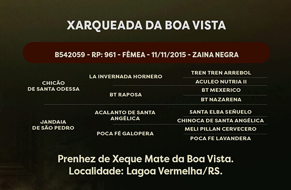Geração XARQUEADA DA BOA VISTA