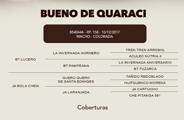 Geração COBERTURA BUENO DE QUARACI 