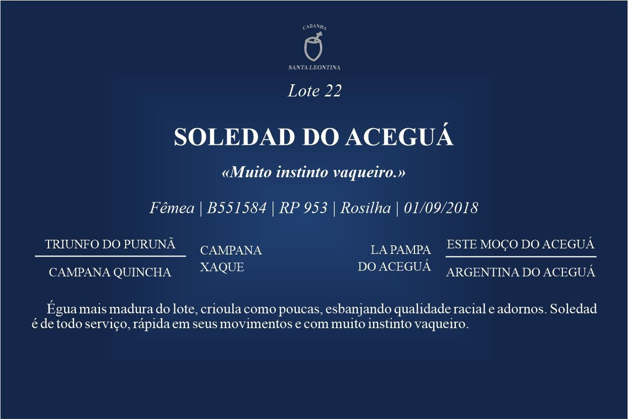 Geração SOLEDAD DO ACEGUÁ