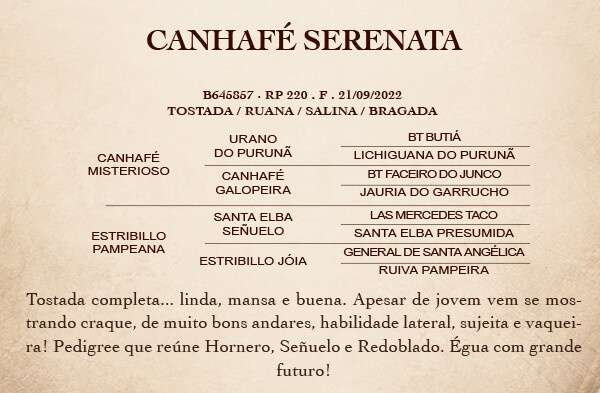 Geração CANHAFÉ SERENATA