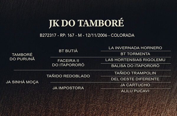 Geração JK DO TAMBORÉ