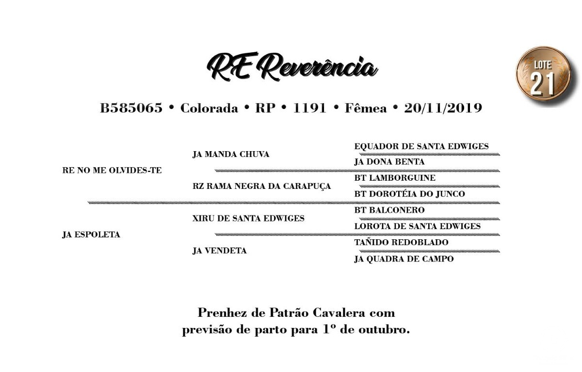 Geração RE REVERÊNCIA