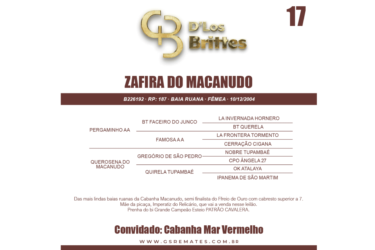 Geração ZAFIRA DO MACANUDO