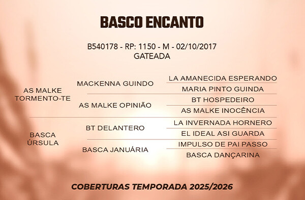 Geração BASCO ENCANTO 