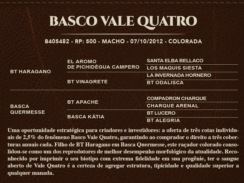 Geração BASCO VALE  QUATRO - COTA