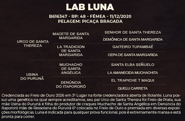 Geração LAB LUNA