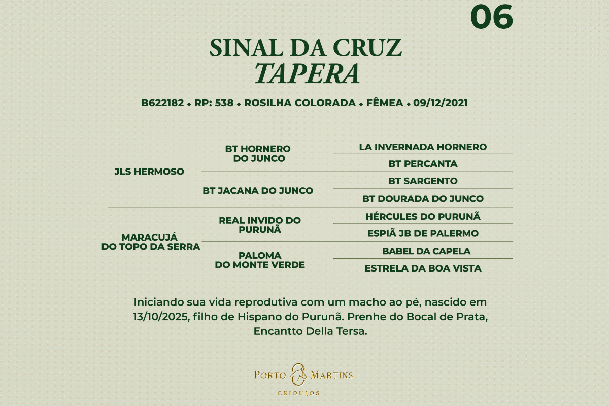 Geração SINAL DA CRUZ TAPERA