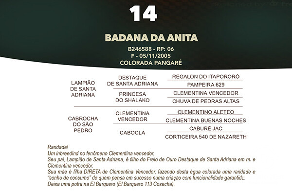 Geração BADANA DA ANITA