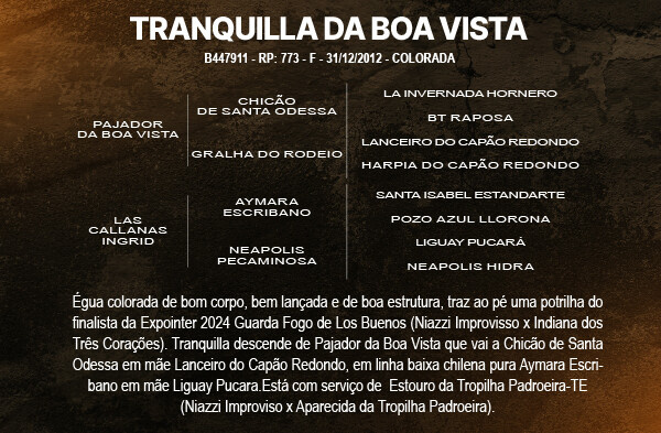 Geração TRANQUILA DA BOA VISTA