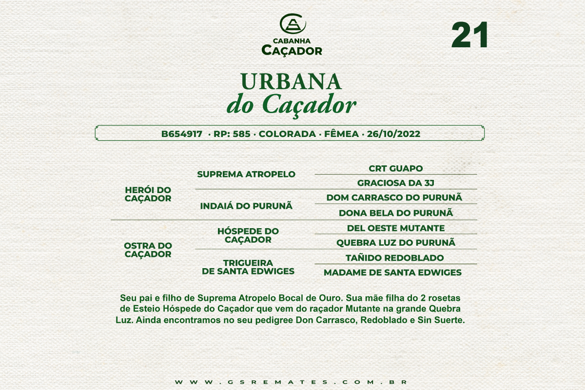 Geração URBANA DO CAÇADOR 