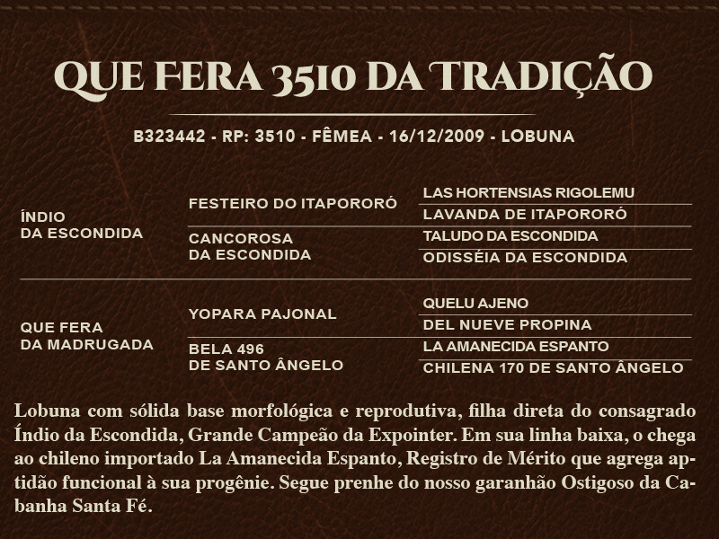 Geração QUE FERA 3510 DA TRADIÇÃO