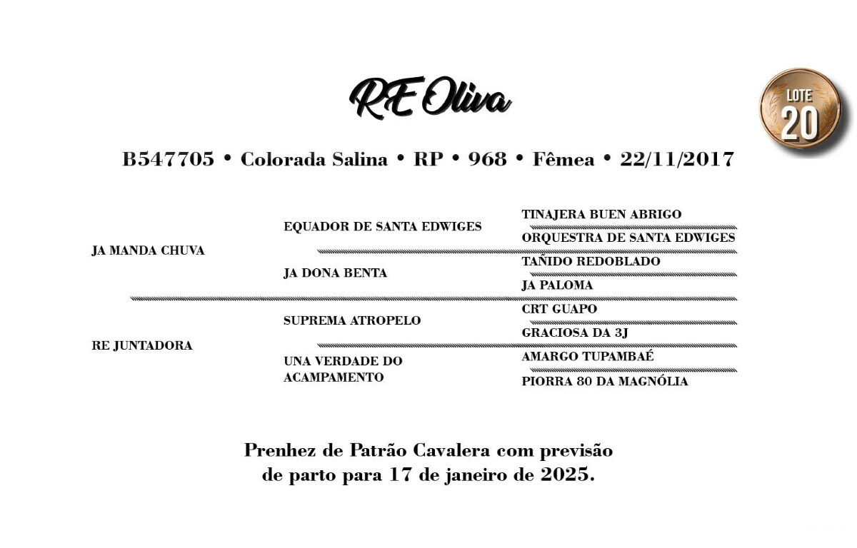 Geração RE OLIVA