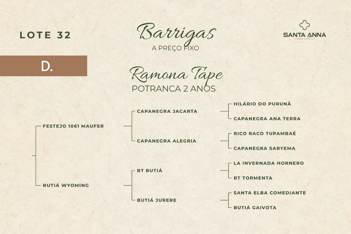 Geração RAMONA TAPE