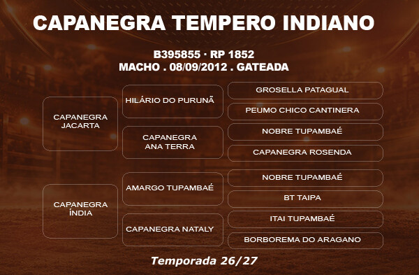 Geração COBERTURA CAPANEGRA TEMPERO INDIANO 