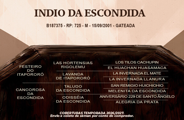 Geração Índio da Escondida