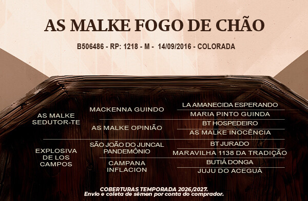 Geração AS Malke Fogo de Chão