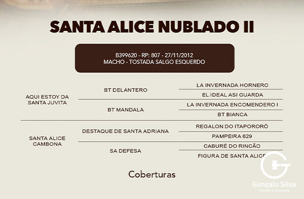 Geração COBERTURA SANTA ALICE NUBLADO II